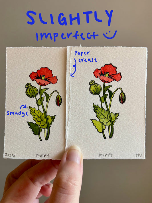 Watercolor Original Botanical Mini - Poppy