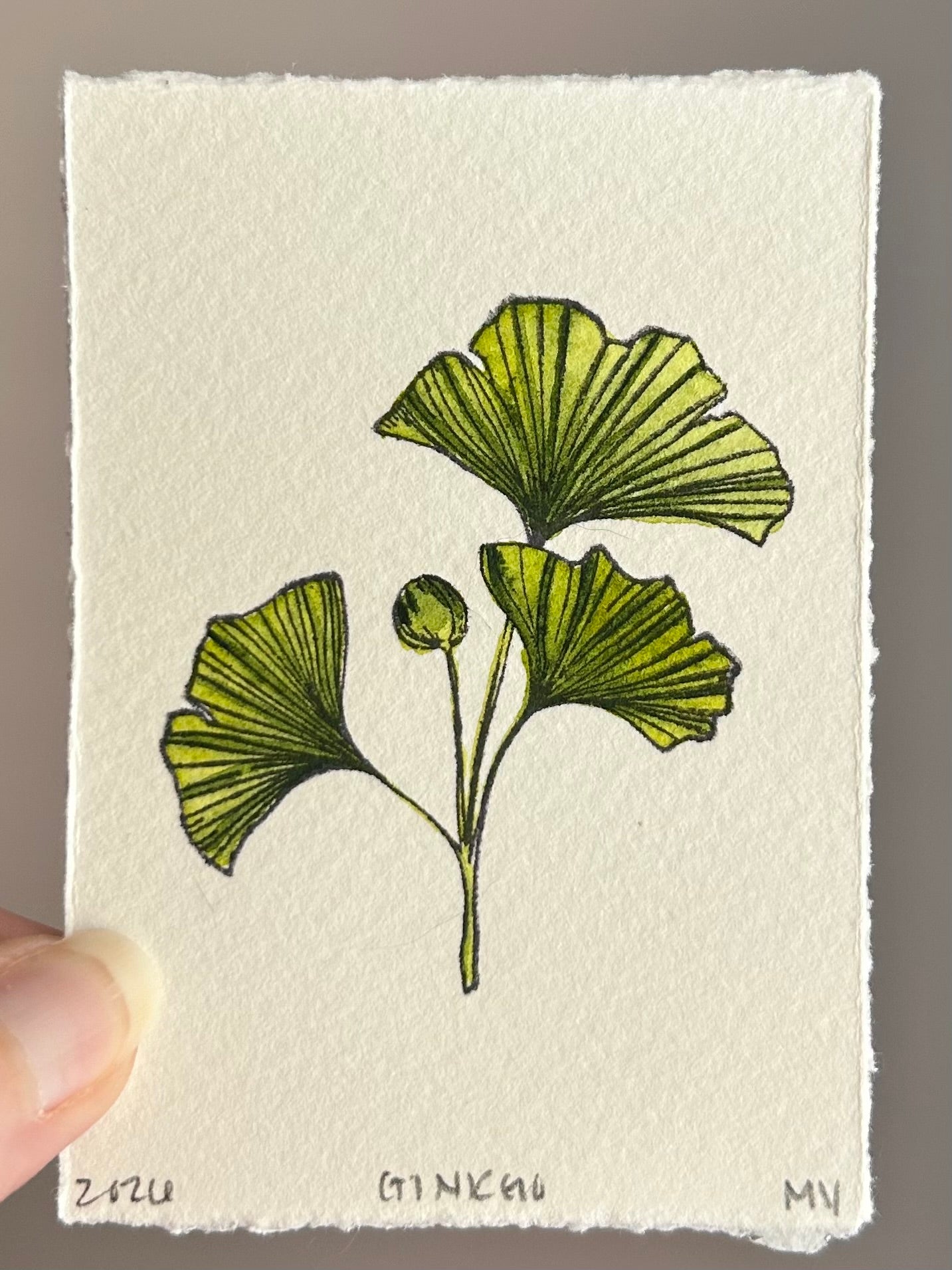Watercolor Original Botanical Mini - Ginkgo