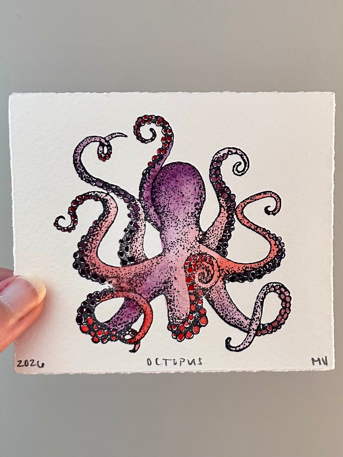 Watercolor Original Octopus