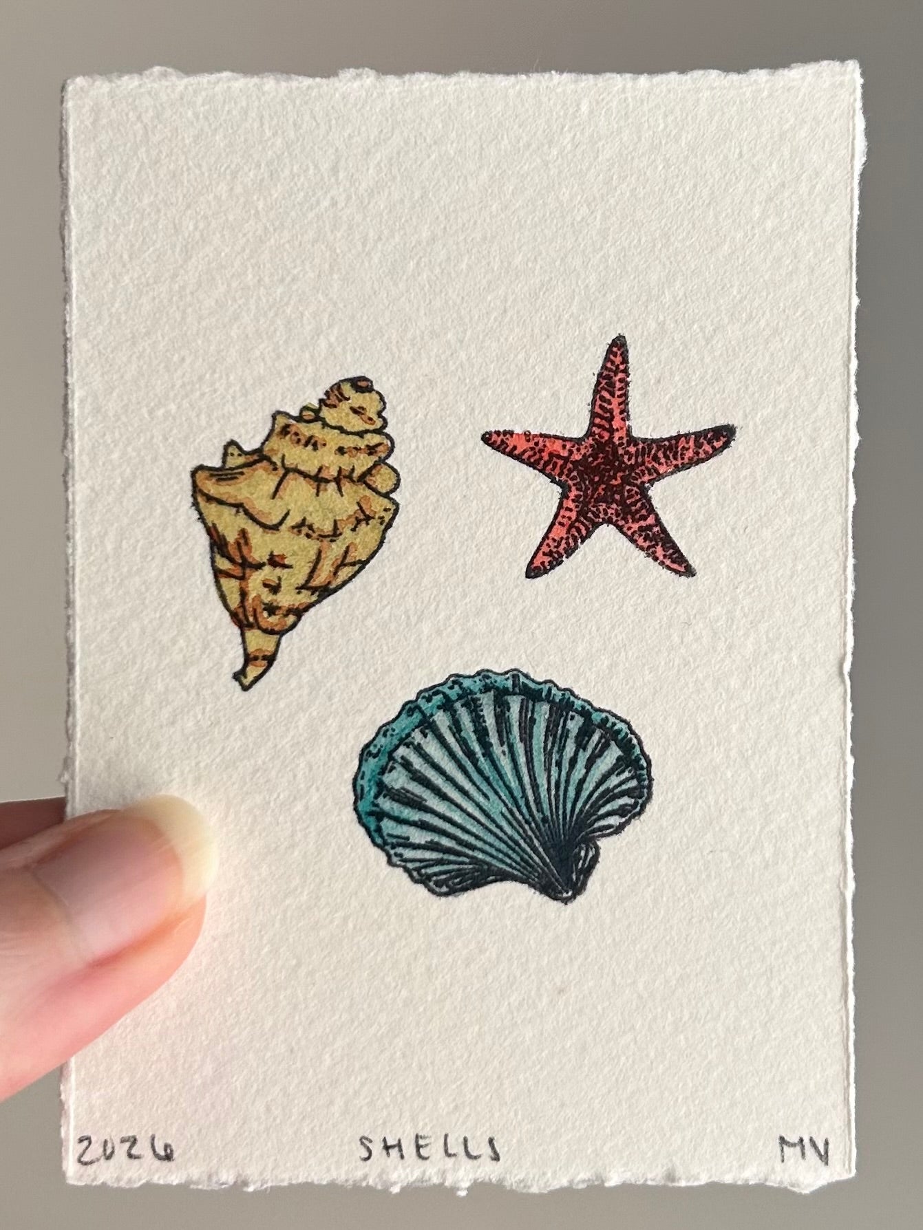 Watercolor Original Shells Mini