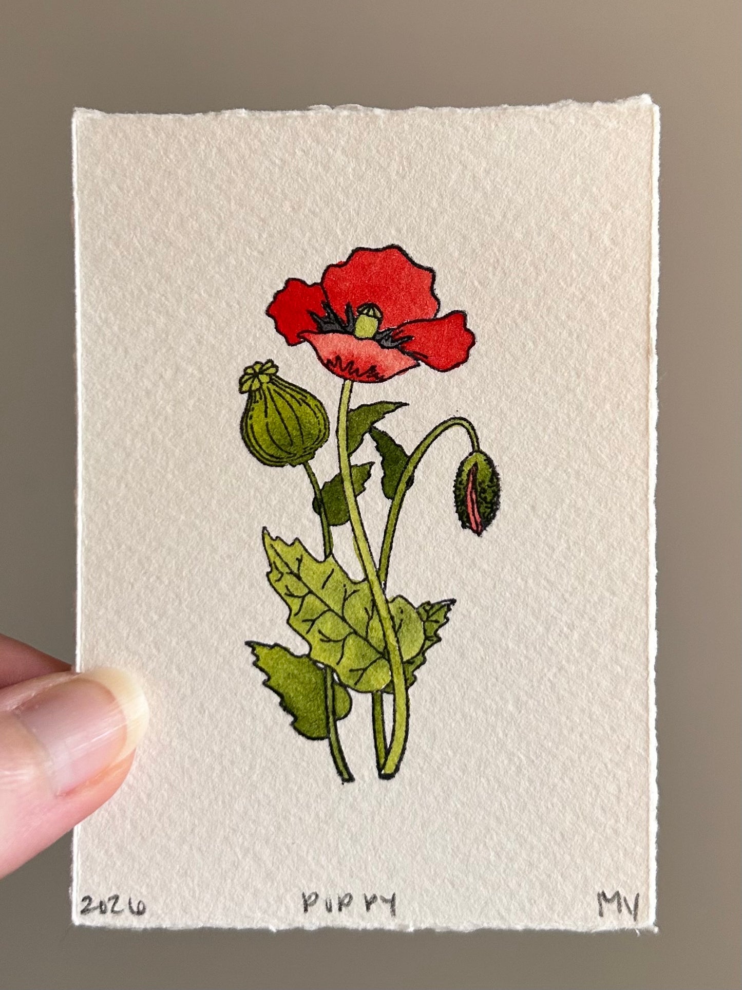 Watercolor Original Botanical Mini - Poppy