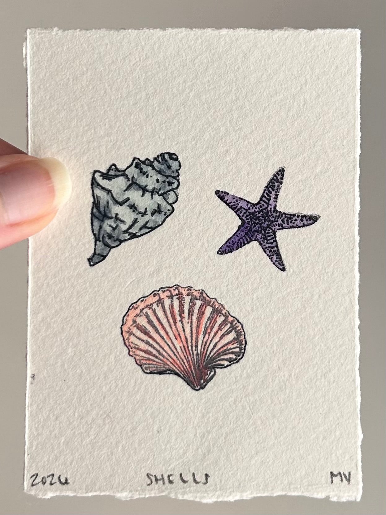 Watercolor Original Shells Mini