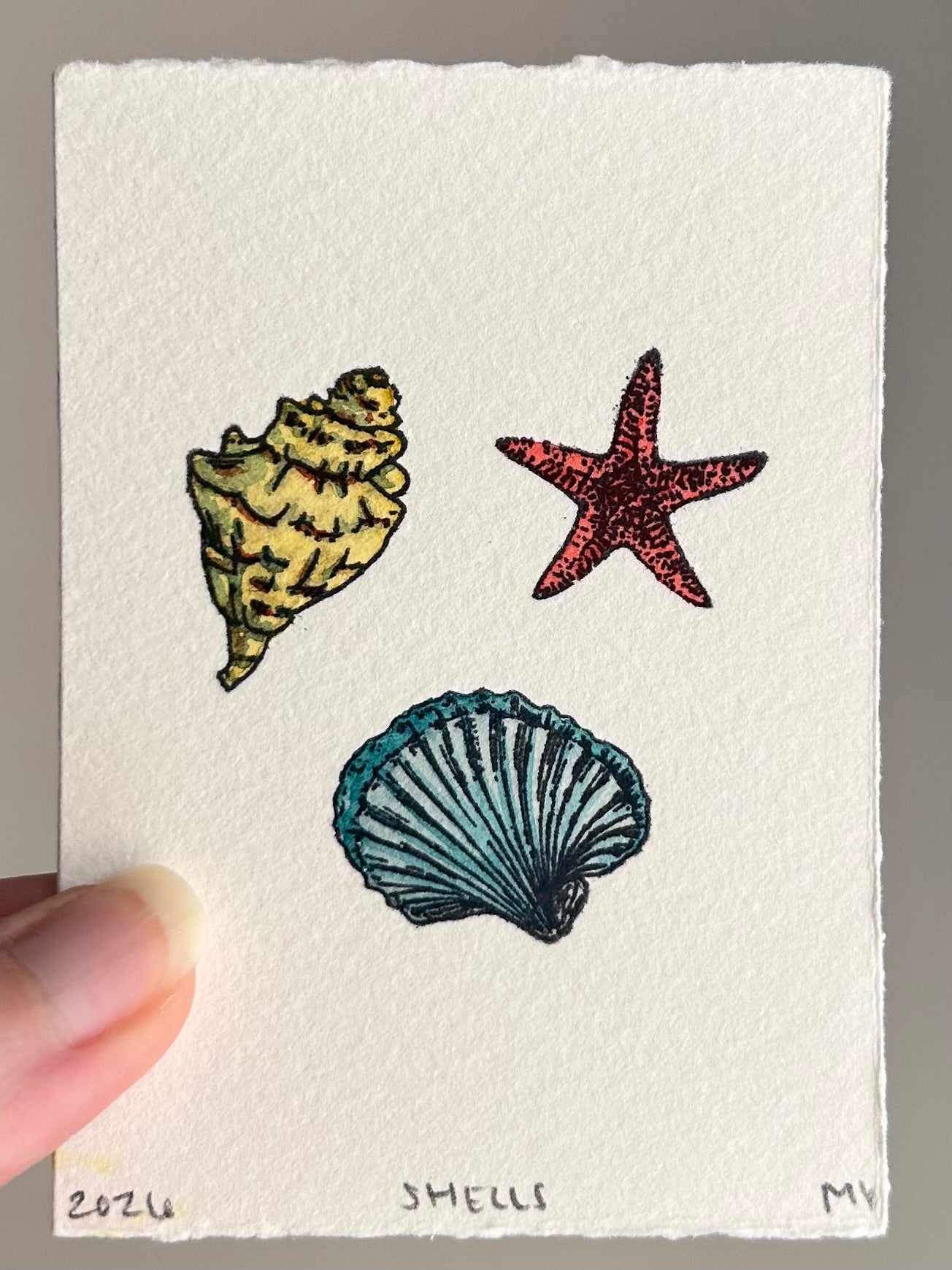 Watercolor Original Shells Mini