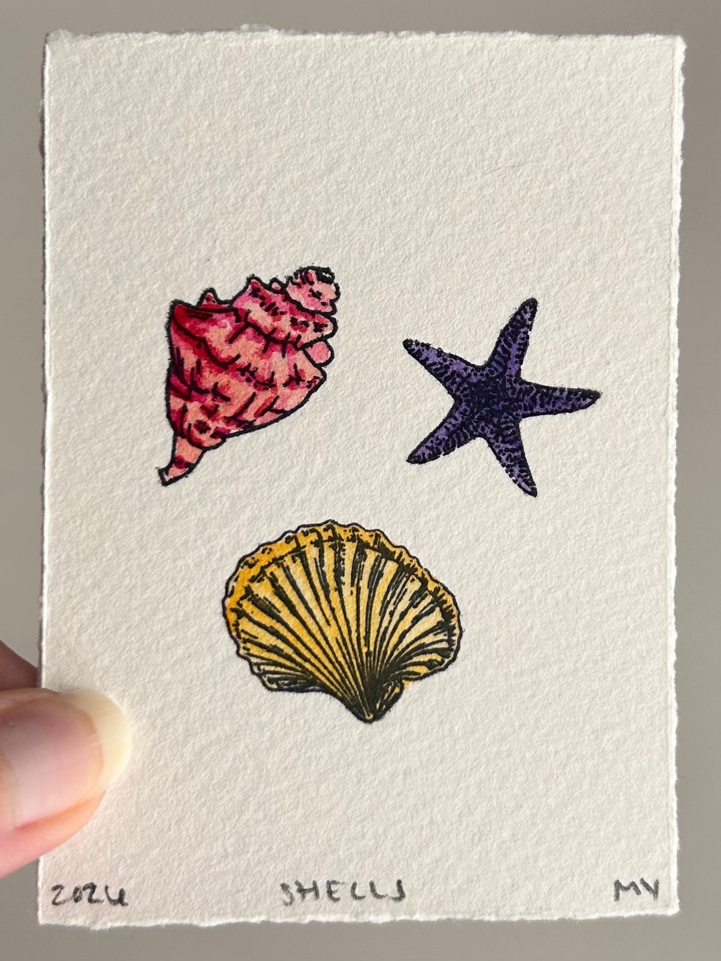 Watercolor Original Shells Mini
