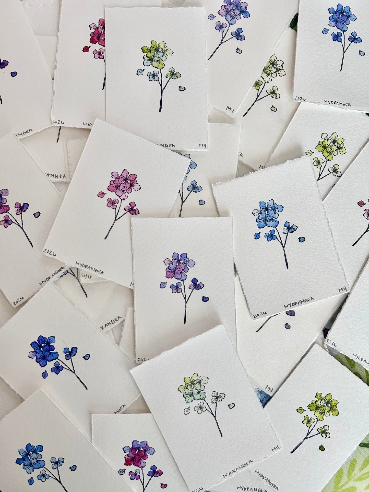 Watercolor Original Botanical Mini - Hydrangea *Blind Box*